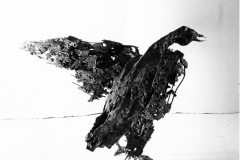 JP Demarchi sculpture oiseau blessé